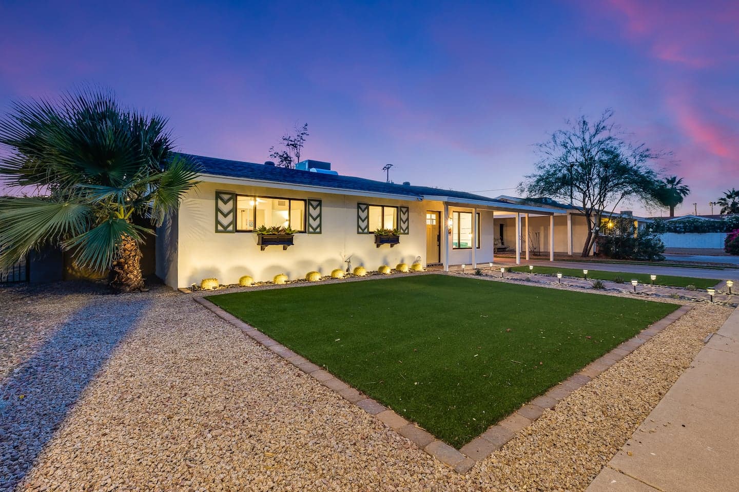 Saguaro, photo 58