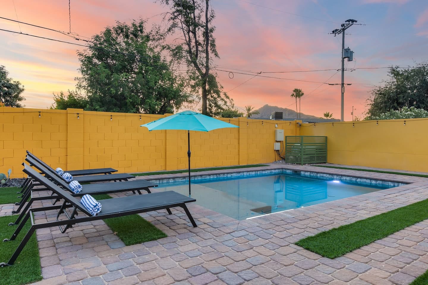 Saguaro, photo 65