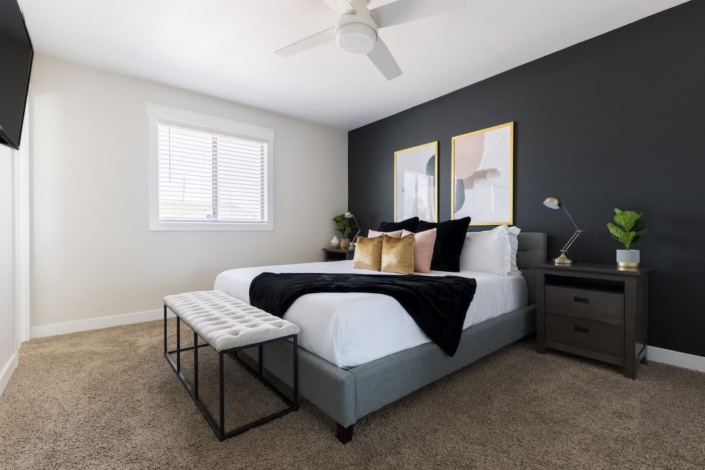Paradise Palms, photo 28