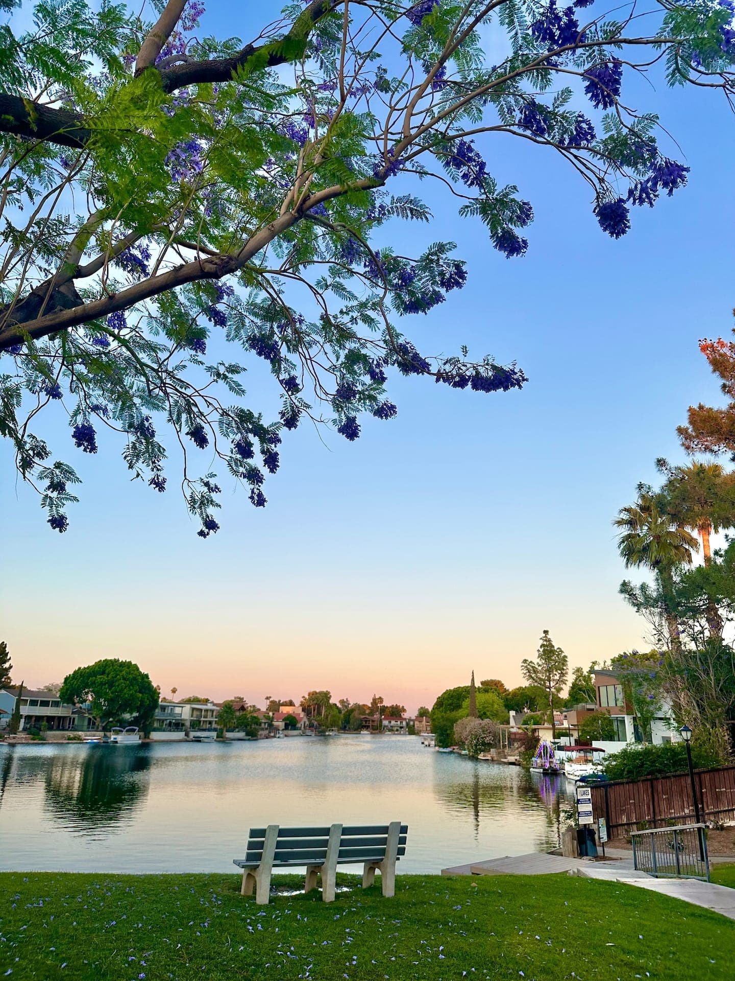 The Lakeshore